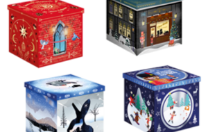 650 - Coffret Madeleines Ecrin (18 indiv.)