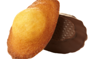 2262 - Madeleines ChocoNoir