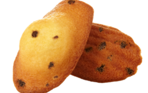 2834 - Madeleines Pépites