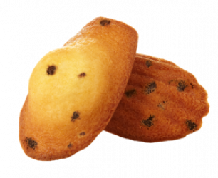 2834 - Madeleines Pépites