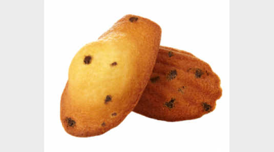 2834 - Madeleines Pépites